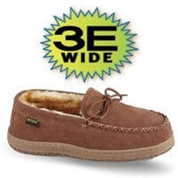 3E Wide Old Friend Image
