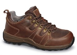 Hiking and Walking Image