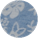 Blue Floral Canvas