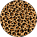 Cheetah Print