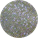 Silver Iridescent Leather