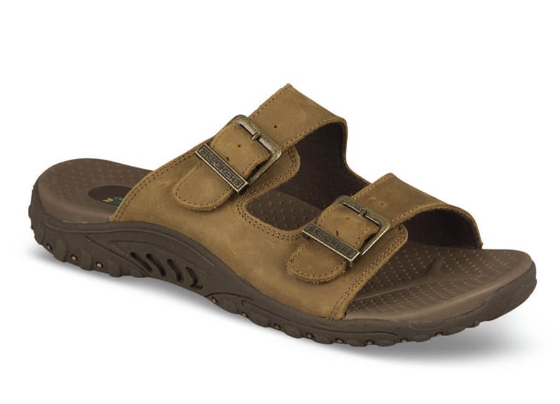 REGGAE - JAMMIN' SKECHERS - Main